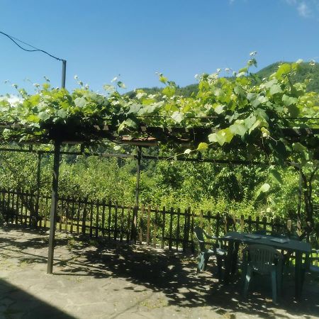 Appartamento Nel Verde San Marcello Pistoiese Kültér fotó